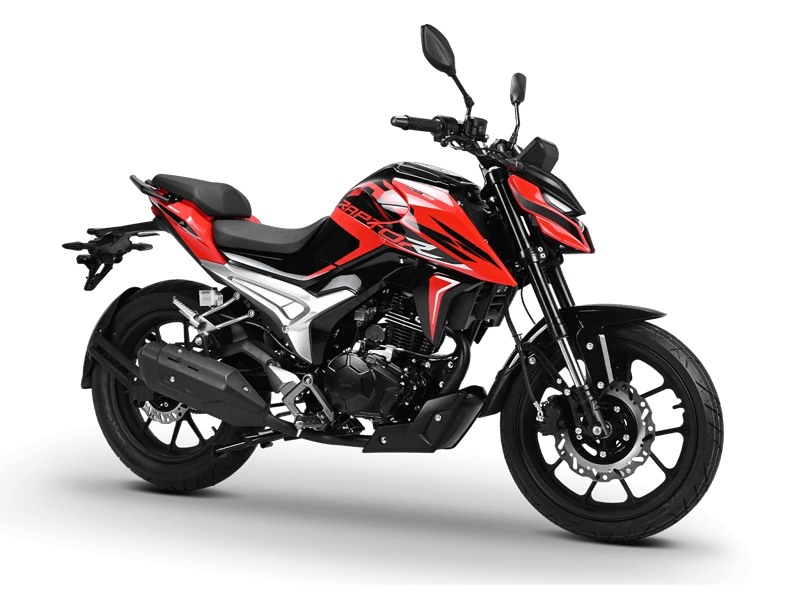Royal GPX Raptor Plus RZ 200: Royal GPX Raptor Plus RZ 200 — reviewed model photograph; colour representative