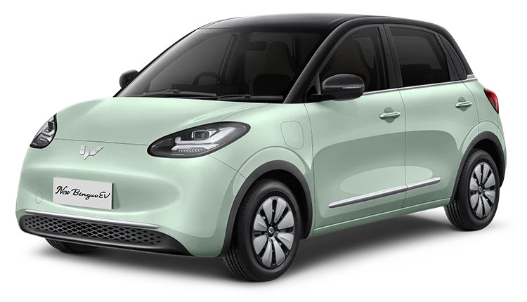 MG Binguo EV: MG Binguo EV — Official Pakistan distributor model depiction; market catalogue year differs from image source year where applicable.